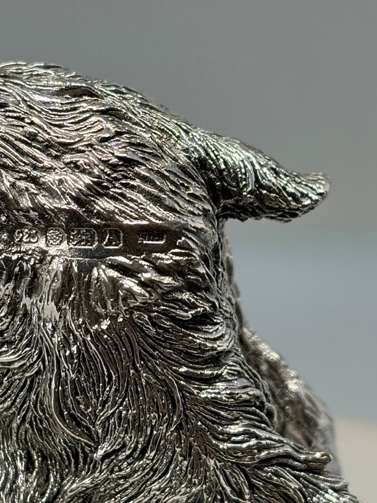 Silver Springer Spaniel, Standing