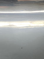 Load image into Gallery viewer, Pair of Entree Dishes
