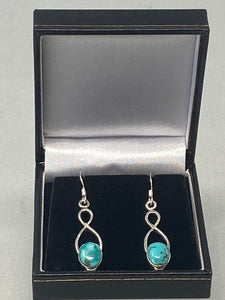 Sterling Silver and Turquoise Earrings