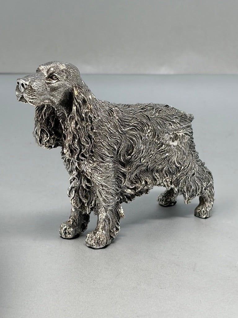 Silver Springer Spaniel, Standing