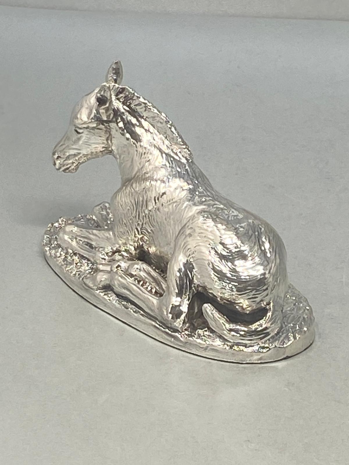 Sterling Silver Hose - Foal Laying Down Model