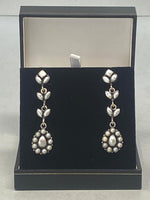 Load image into Gallery viewer, Sterling Silver and Mother of Pearl Earrings
