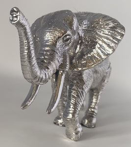 Silver African Elephant
