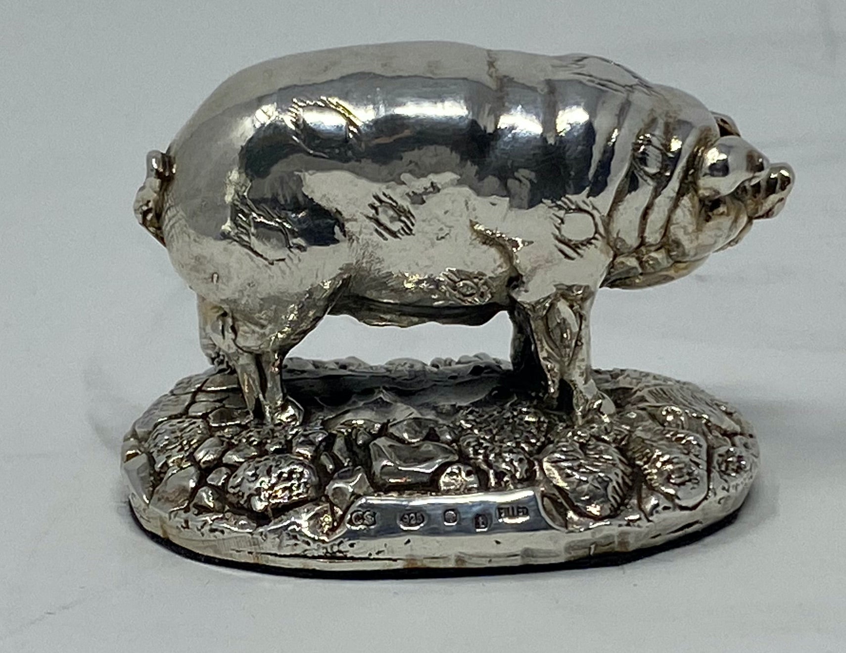 Silver Pig
