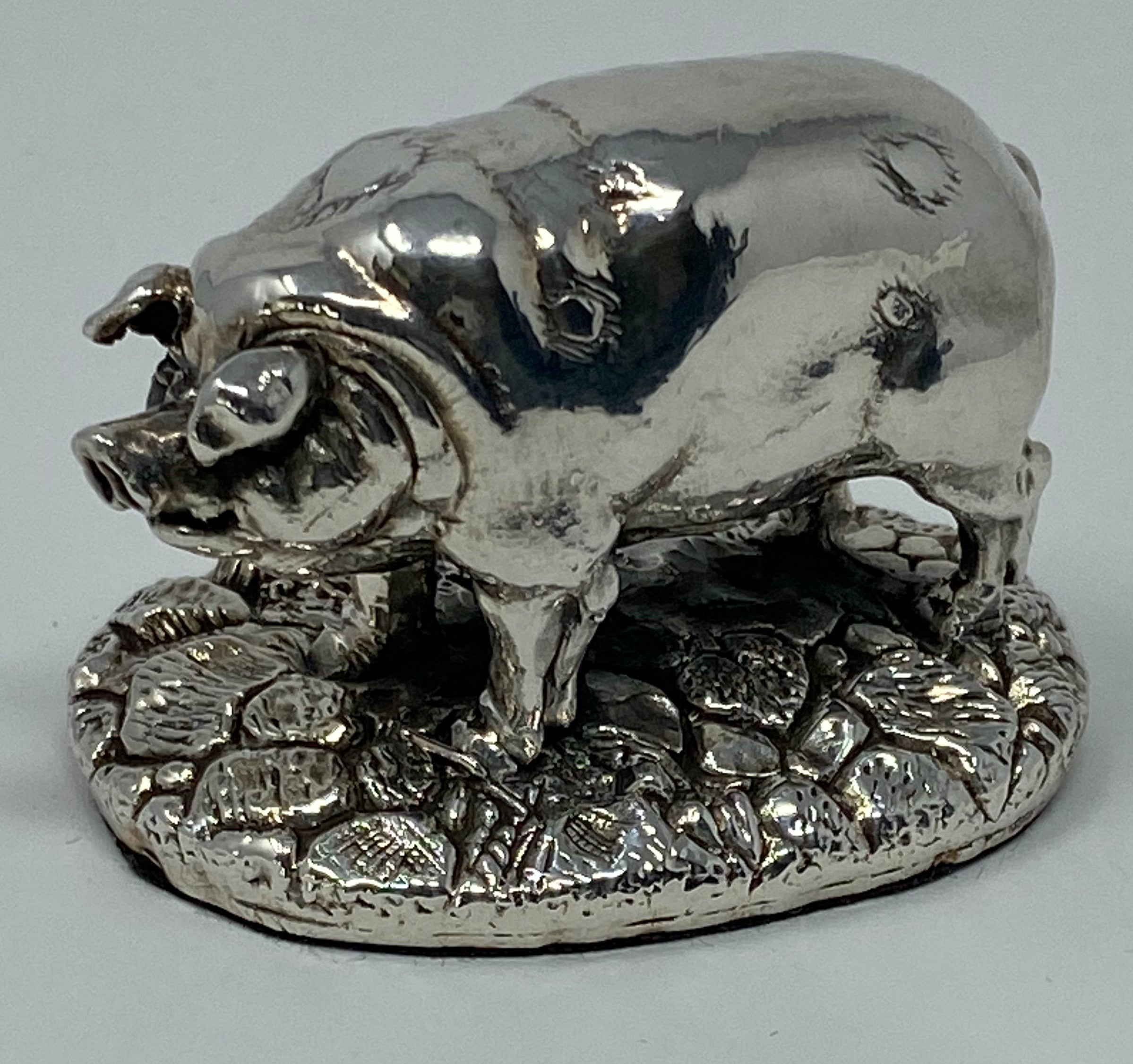 Silver Pig
