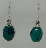 Load image into Gallery viewer, Silver and Turquoise Earrings
