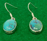 Load image into Gallery viewer, Silver and Turquoise Earrings
