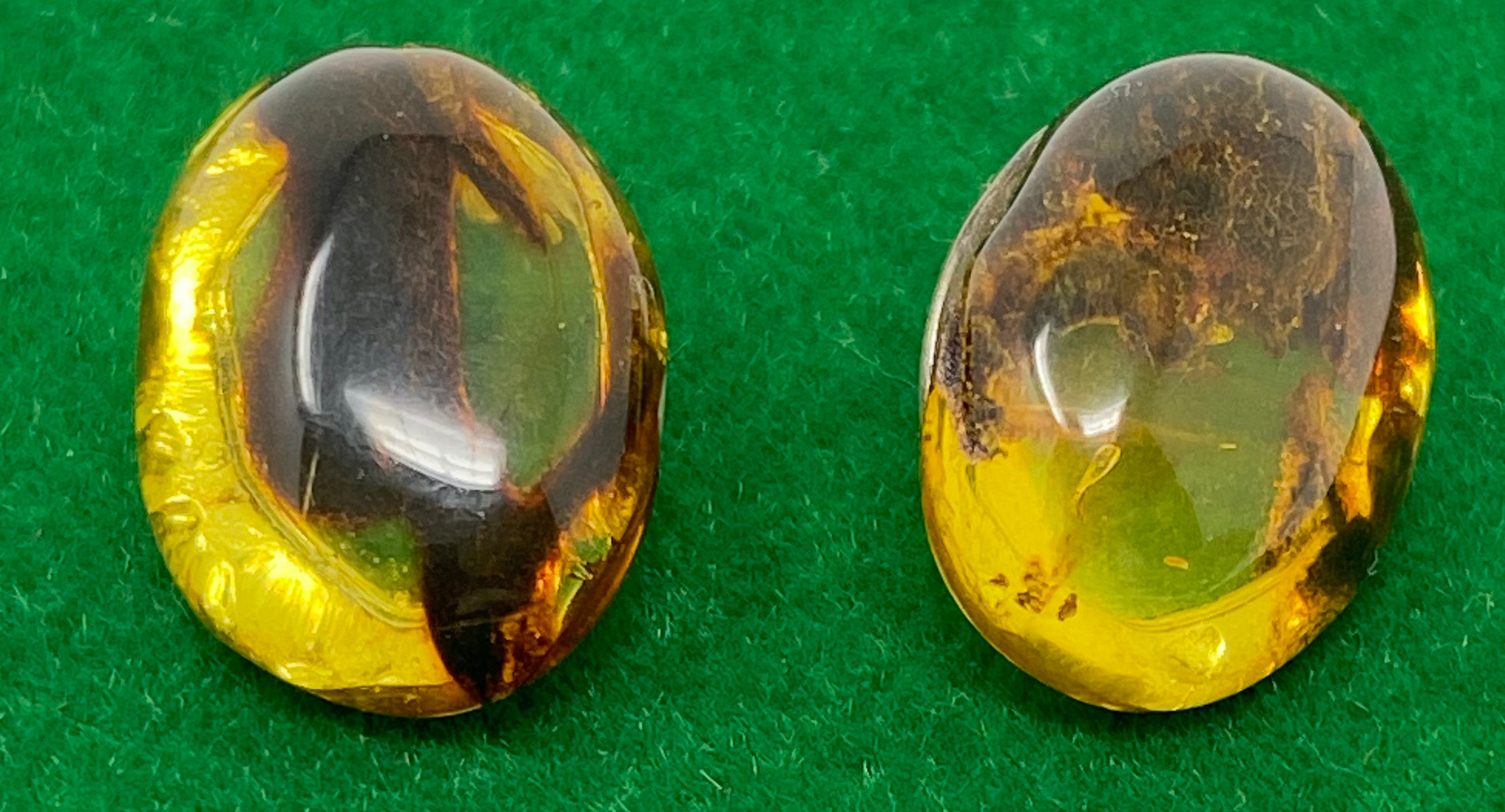 Silver and Amber Fossil Stud Earrings