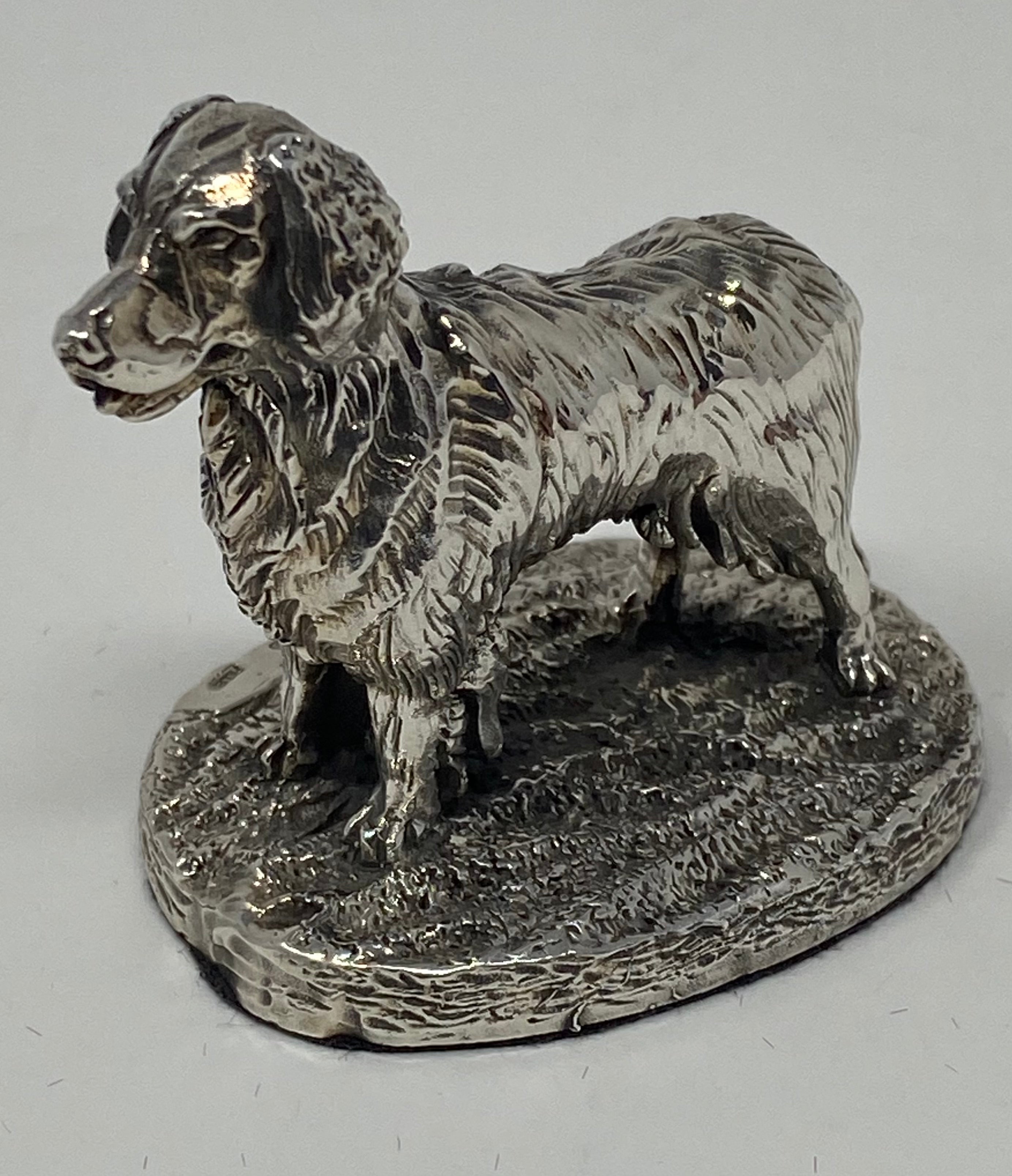 Silver Retriever