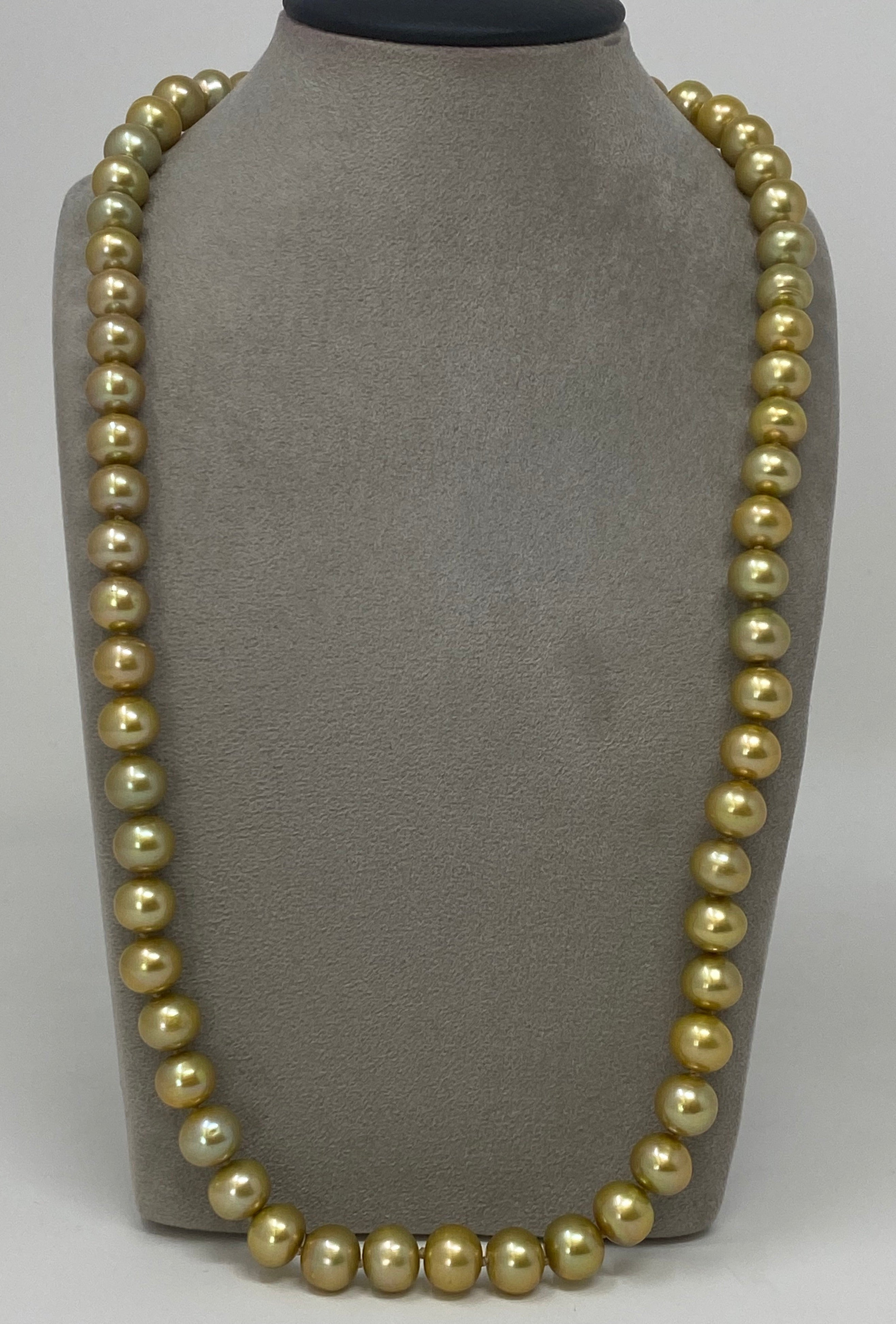 Gold Coloured Freshwater Pearls
