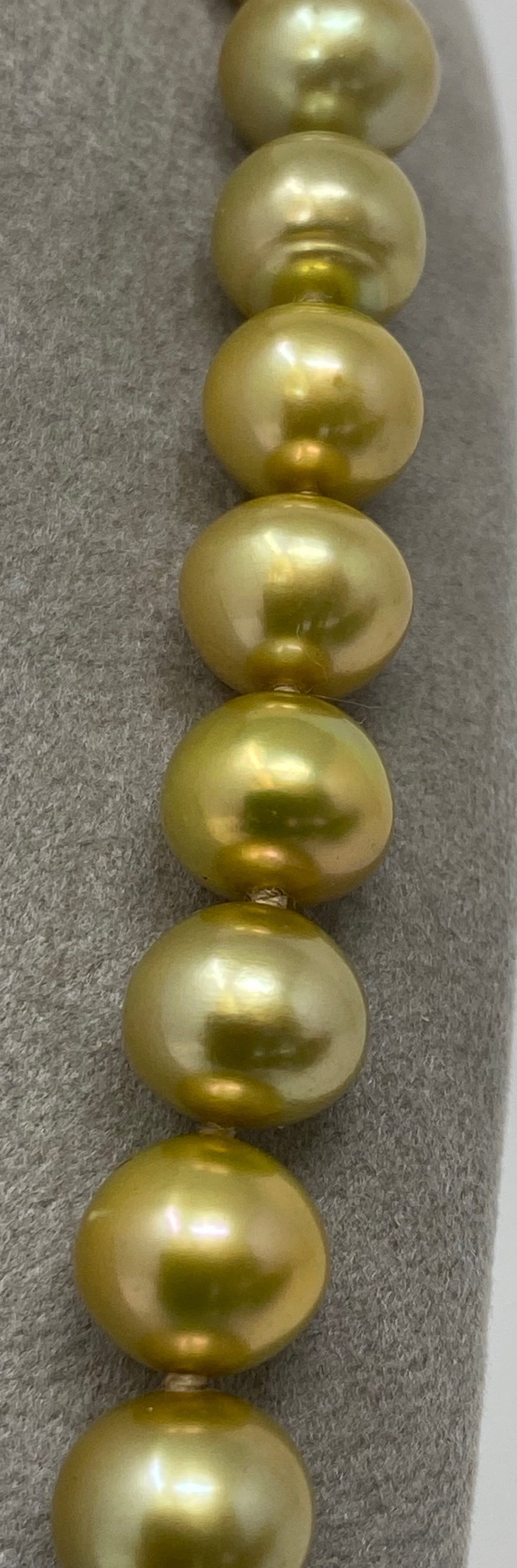 Gold Coloured Freshwater Pearls