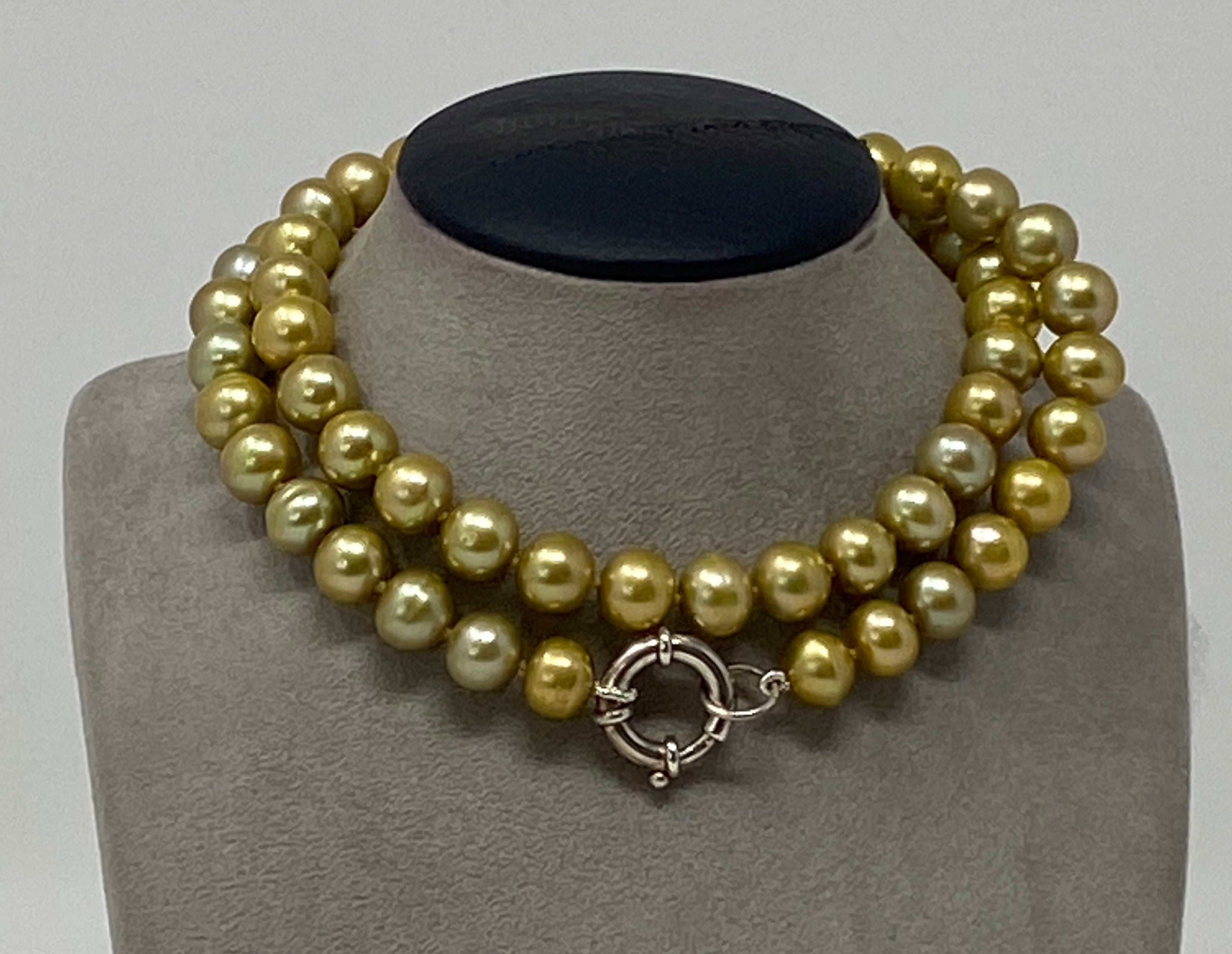 Gold Coloured Freshwater Pearls