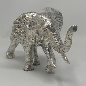 Silver African Elephant